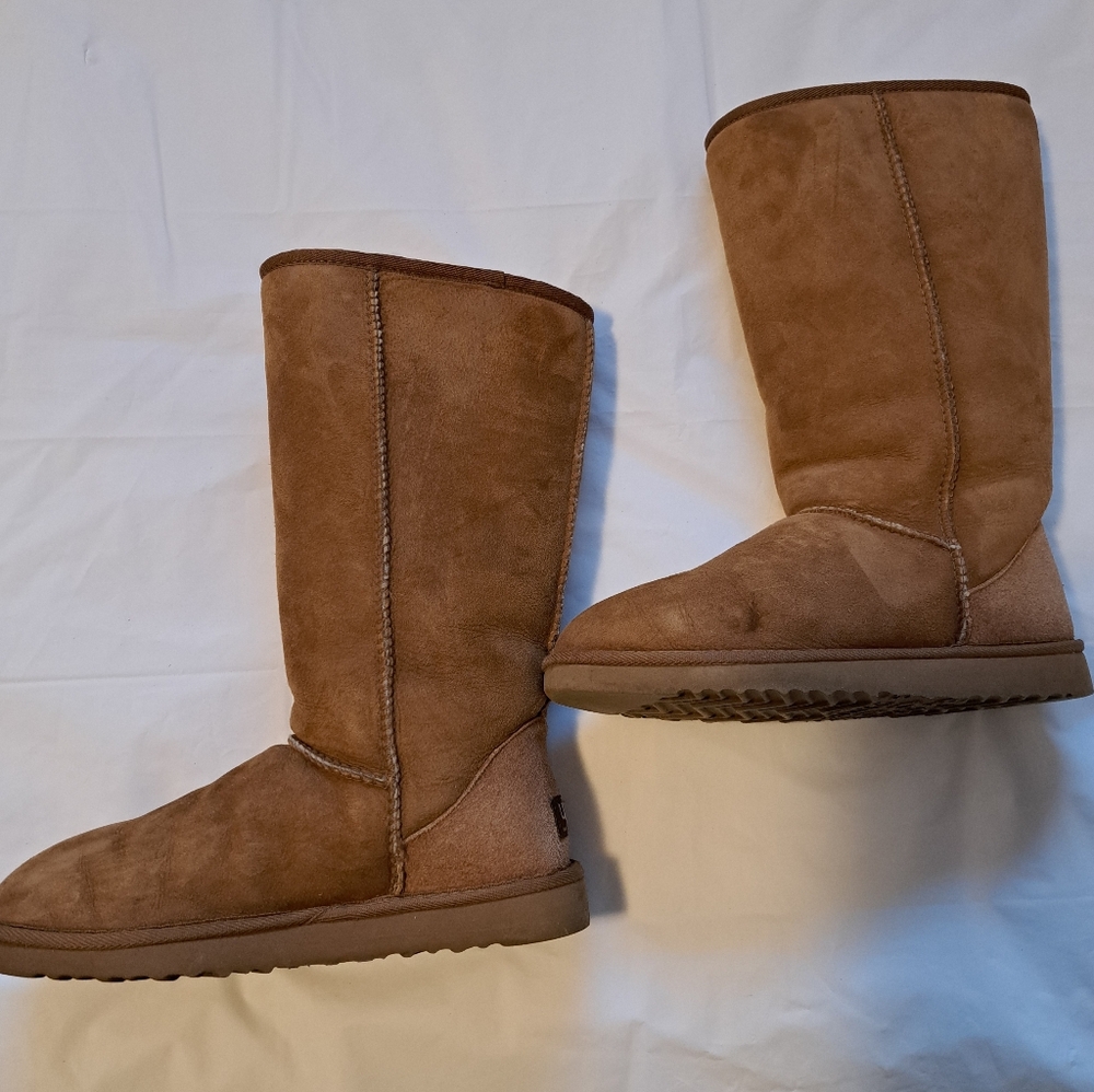 Ugg Tall Cgestnut Boots In Box
